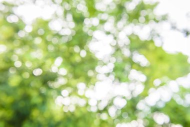 soyut doğa arka plan bulanık bokeh defocused ışıklar ile