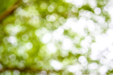 soyut doğa arka plan bulanık bokeh defocused ışıklar ile