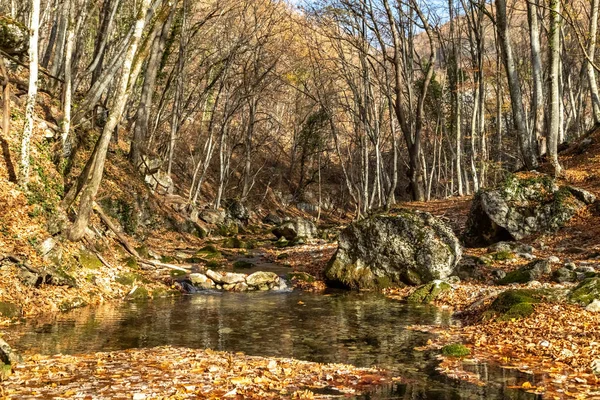 Kırım 'ın Büyük Kanyonu. Ausun-Uzen nehrinde hamam, sonbahar.