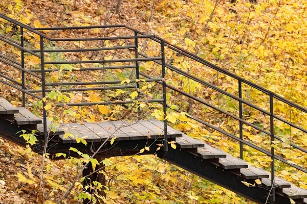 Escalera Con Escaleras Madera Otoño Parque Sobre Fondo Follaje Amarillo —  Fotos de Stock