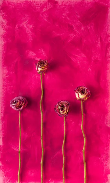 dört kuru gül dikey pembe arkaplan sanatı