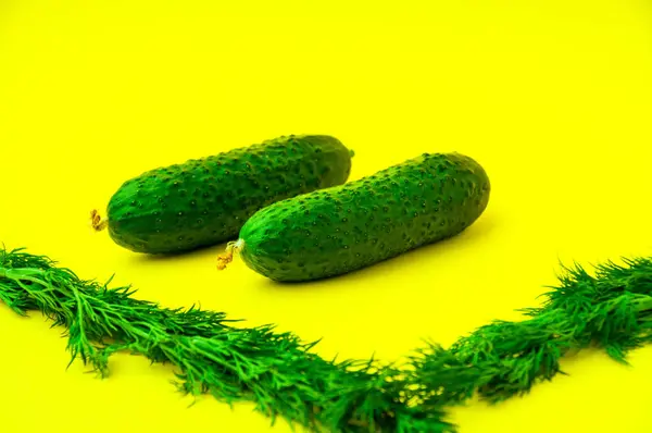 Sarı arka planda iki salatalık ve dereotu paralel uzanır.