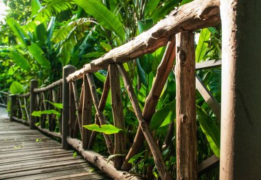 Ormanda ahşap köprü ve korkuluklar