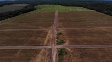 Tarladaki yolun drone görüntüsü.