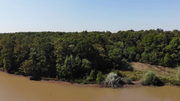 Vue aérienne du lac en été . — Video