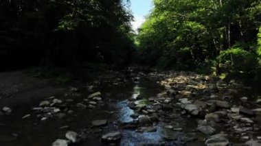 Flying over the river in forest.