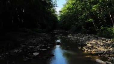 Flying in the river gorges.