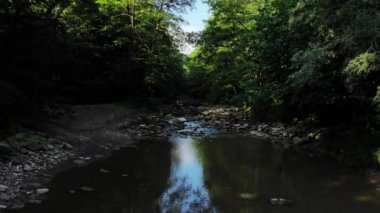 Ormandaki dağ nehri. Nehirdeki vadilerde uçmak.