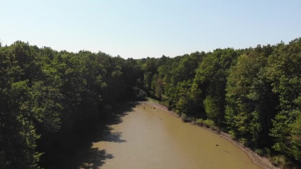 Flying over the lake. Aerial view of the lake. — Stockvideo