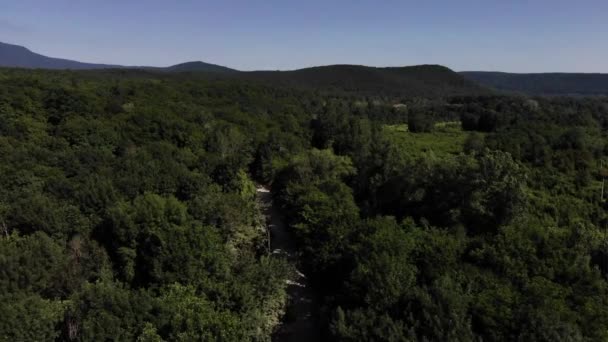 Vista aérea de árboles verdes de verano en el fondo del bosque, Cáucaso, Rusia . — Vídeo de stock