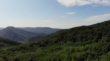 Orman arka plan, Kafkaslar, Rusya yaz yeşil ağaçların havadan üst görünümü.