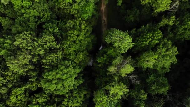 Antenn Topputsikt Över Sommar Gröna Träd Skogs Bakgrund Kaukasus Ryssland — Stockvideo