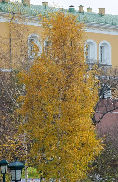 Hermosa Naturaleza Brillante Otoño Agrada Vista —  Fotos de Stock