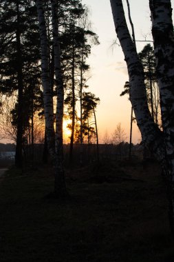 Güzel gün batımı, neşe ve mutlulukla dolu. 
