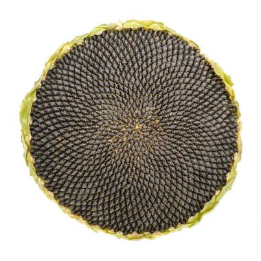 Beyaz arka plan üzerinde izole olgunlaşmış tohumlar ile ayçiçeği