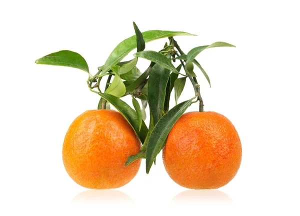 Mandarynka Mandaryn Pomarańczowy Liści Białym Tle Białym Tle Obraz Stockowy