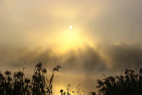 Foggy Lac Dans Lac Hongrois — Photo