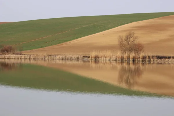 Reflection Hungarian Lake Clear Sky — Stock Photo, Image