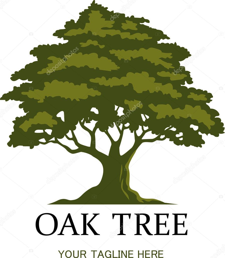 Green oak tree logo template on white background