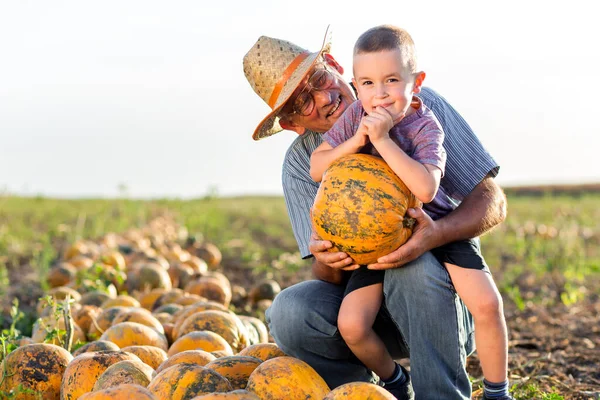 old man with little boy on the field with pumpkins