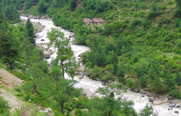 Vista Del Río Cordillera Del Himalaya Bosques Verdes Profundos —  Fotos de Stock