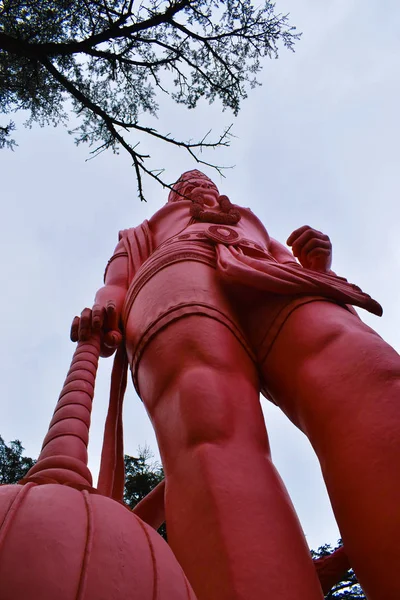 Hanuman Heykeli Jakhoo Tapınağı Shimla Himachal Pradesh Hindistan — Stok fotoğraf