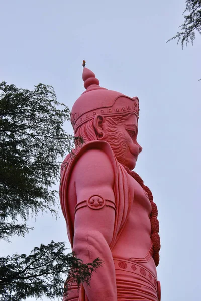 Piękny Posąg Lorda Hanumany Wielbiciel Pana Ramy Shimla Himachal Pradesh — Zdjęcie stockowe