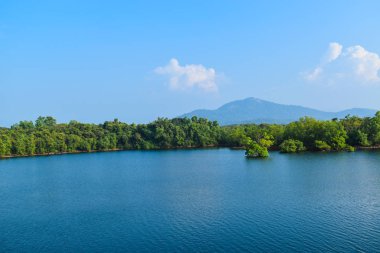 Mavi gökyüzünün altında güzel bir göl manzarası