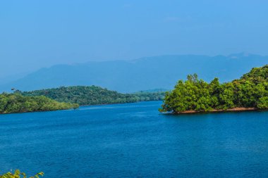 Mavi gökyüzünün altındaki güzel göl manzarası ve ağaçlarla kaplı.
