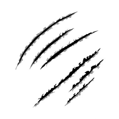 Hayvan çizikler, vektör çizim tasarım pençeleri.