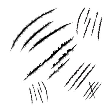 Hayvan çizikler, vektör çizim tasarım pençeleri.