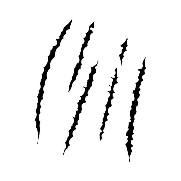 Animal claws scratches, vector illustration design.