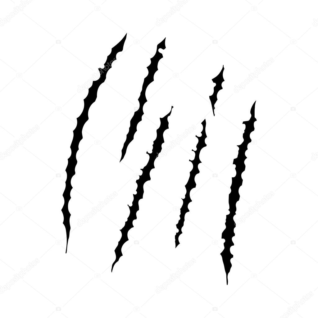 Animal claws scratches, vector illustration design.