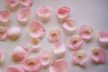 Tahta arka planda pembe gül yaprakları