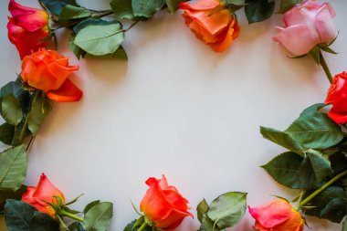 Yumuşak renk gül arka plan