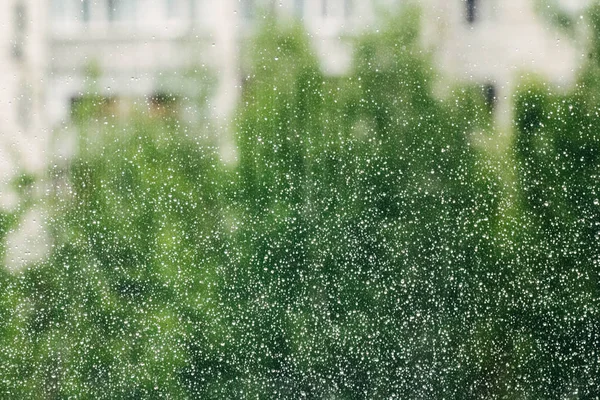 Chuva cai sobre a superfície de vidros de janela com fundo nublado. Padrão natural de gotas de chuva isoladas em fundo nublado. — Fotografia de Stock