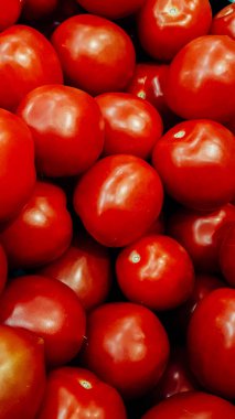 Lezzetli kırmızı domates. Yaz tepsi Pazar tarım çiftlik tam organik sebze arka plan olarak kullanılabilir. (seçici odak)