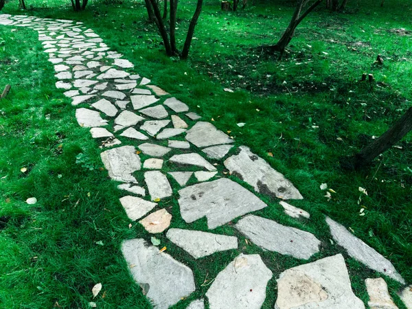 Path through the park — Stock Photo, Image