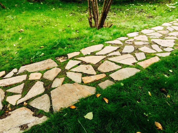 Path through the park — Stock Photo, Image