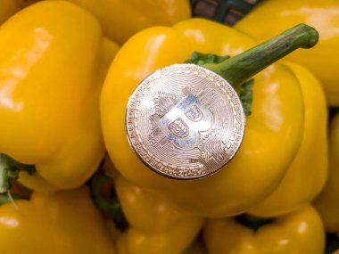 Bilgisayar panosunda bozuk paraları olan bitcoin ve arka plan teknolojisi, para finansmanı, iş konsepti olarak kullanılan alanı kopyala.