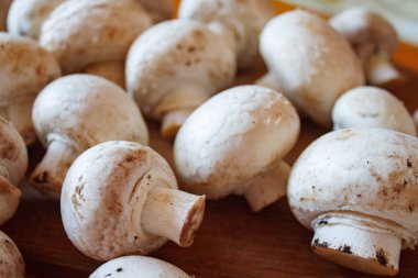 Champignon mantar, mat ve baharat ahşap zemin üzerine çuval bezi