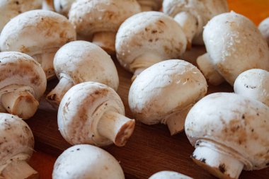 Champignon mantar, mat ve baharat ahşap zemin üzerine çuval bezi