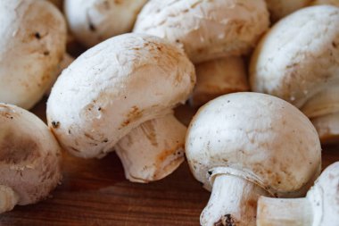 Champignon mantar, mat ve baharat ahşap zemin üzerine çuval bezi