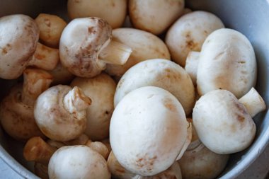 Champignon mantar, mat ve baharat ahşap zemin üzerine çuval bezi