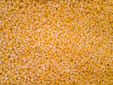 Mısır dokusu. Arkaplan olarak sarı mısırlar.