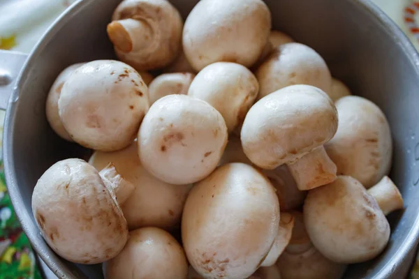 Pieczarki Champignon, zwolnieniu Mata i przyprawy na drewniane tła — Zdjęcie stockowe