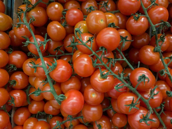 Deliciosos tomates rojos. Verano bandeja de mercado agrícola granja llena de verduras orgánicas Se puede utilizar como fondo. (enfoque selectivo ) — Foto de Stock