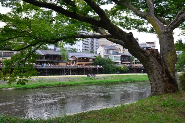 Японцы отдыхают и ужинают в ресторане рядом с Камо Ри — стоковое фото