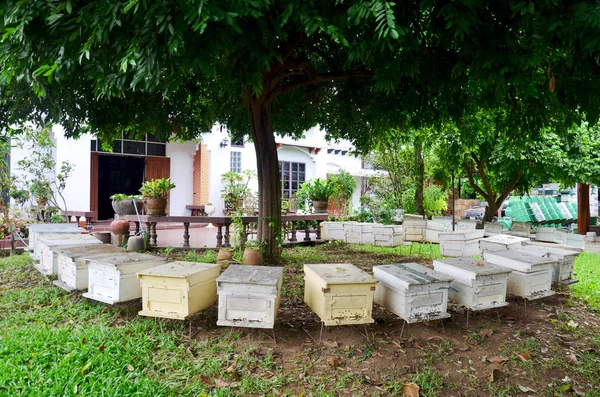 Bienenfarm in Phrase, Thailand — Stockfoto