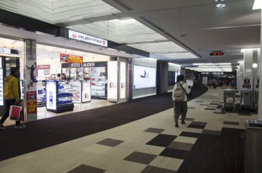 Taylandlı kadın içinde kapıda Narita Uluslararası Havalimanı için yürüyüş